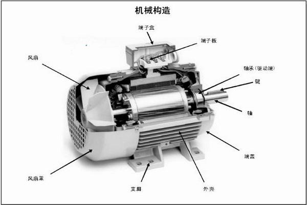 電動機類型詳細(xì)解讀